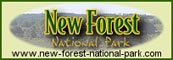 New Forest National Park